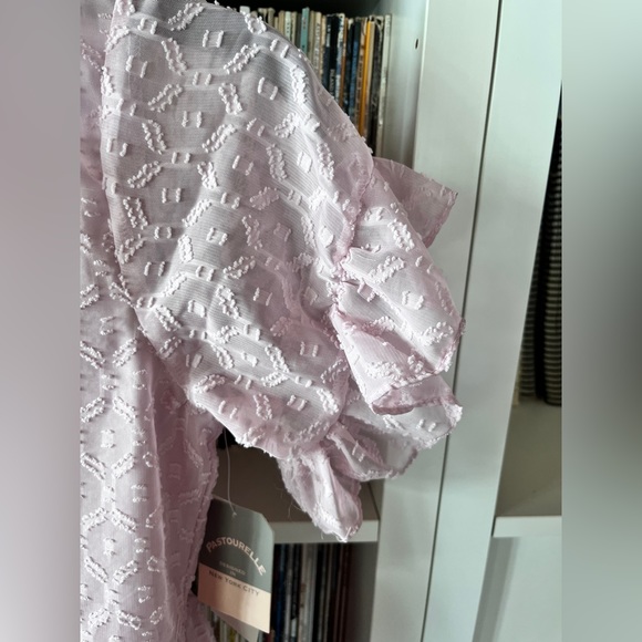 2/$20 Pastourelle girls dress size 14 - Picture 2 of 7